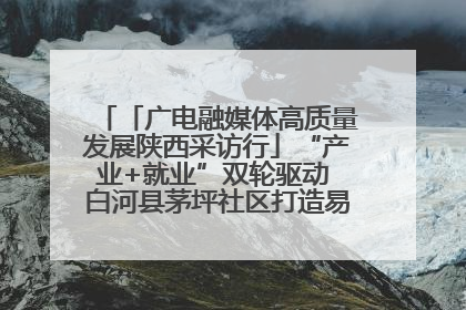 「广电融媒体高质量发展陕西采访行」“产业+就业”双轮驱动 白河县茅坪社区打造易地搬迁后扶新样本